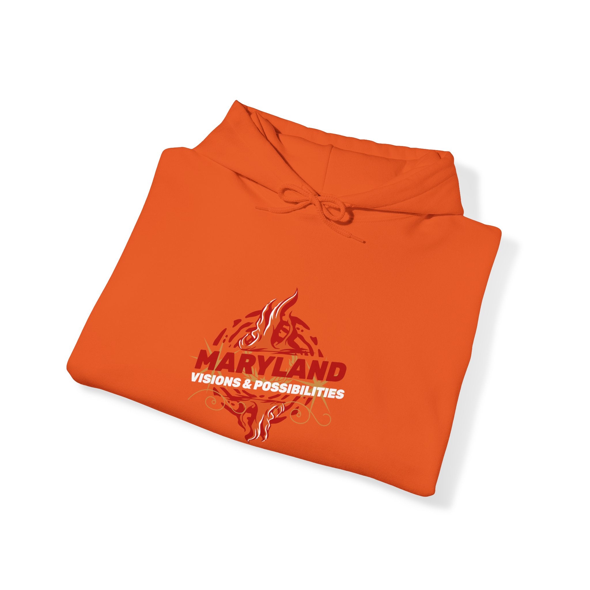 Maryland Unisex Heavy Blend™ Hooded Sweatshirt, Men and women Hoodie (Visions & Possibilities)