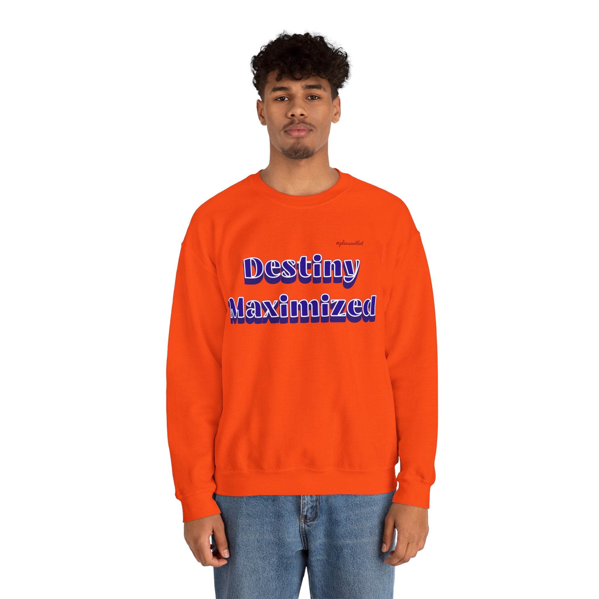 Expressive Design Unisex Heavy Blend™ Crewneck Sweatshirt, Destiny Maximized