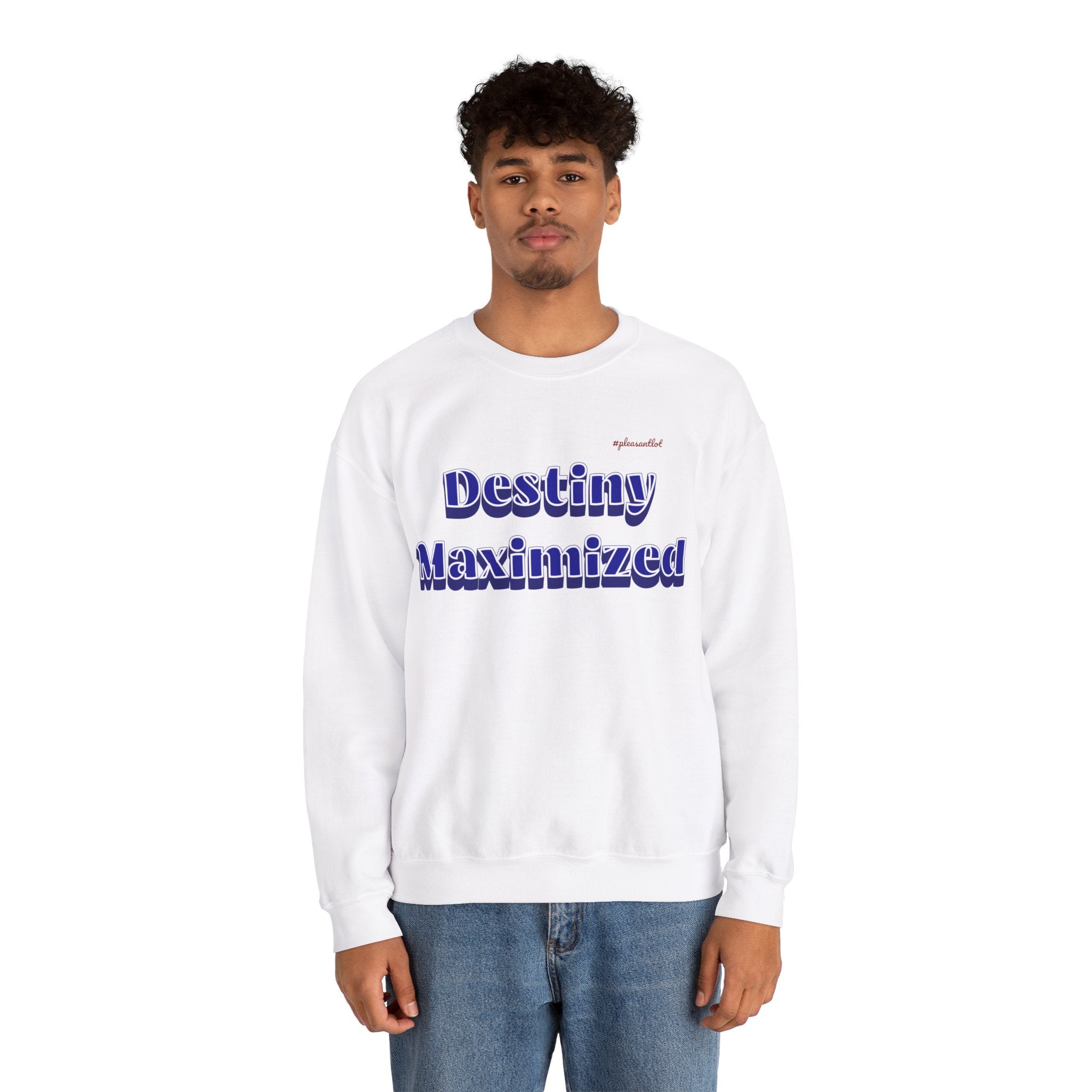 Expressive Design Unisex Heavy Blend™ Crewneck Sweatshirt, Destiny Maximized